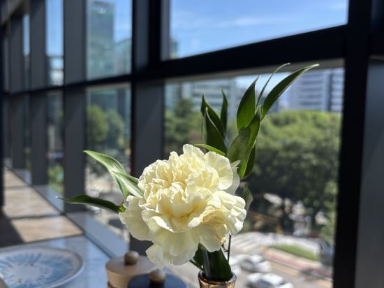 소피텔 앰배서더 서울 호텔 & 서비스드 레지던스 쿠폰