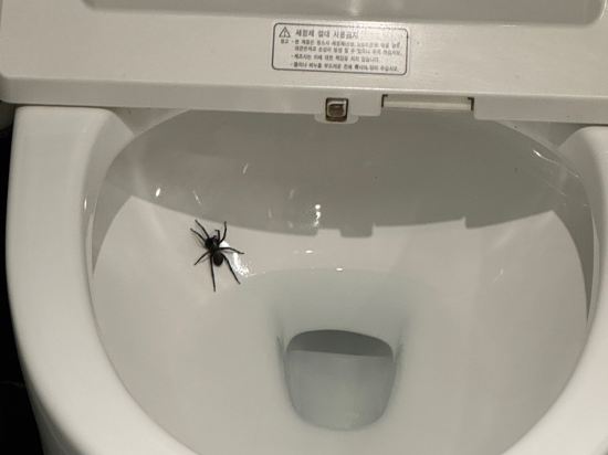 에덴 파라다이스 쿠폰