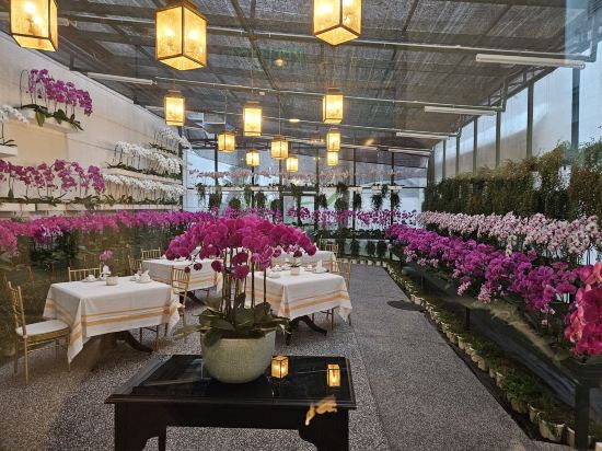 吉隆坡大華酒店,傲途格精選酒店優惠