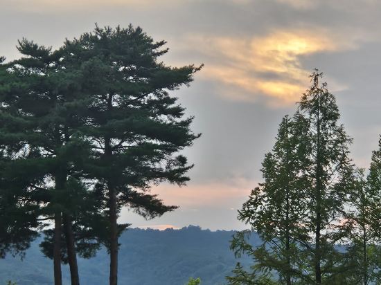 스위트 호텔 경주 쿠폰