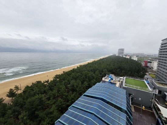 세인트존스 호텔 쿠폰