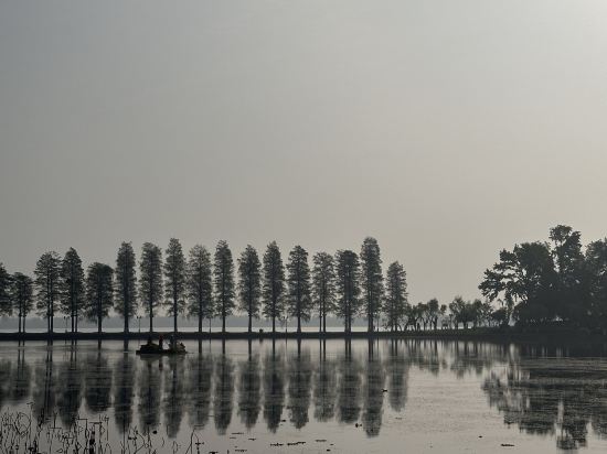 武漢翠柳村客舍優惠