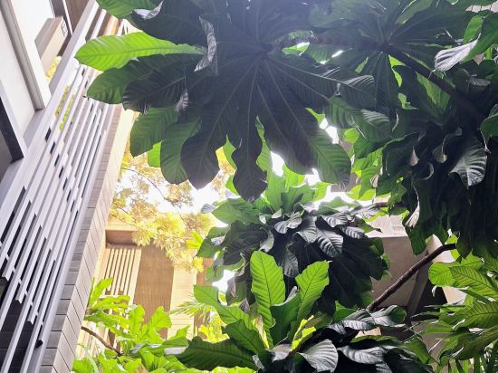 芭堤雅寶石泳池別墅 (SHA Extra Plus)優惠