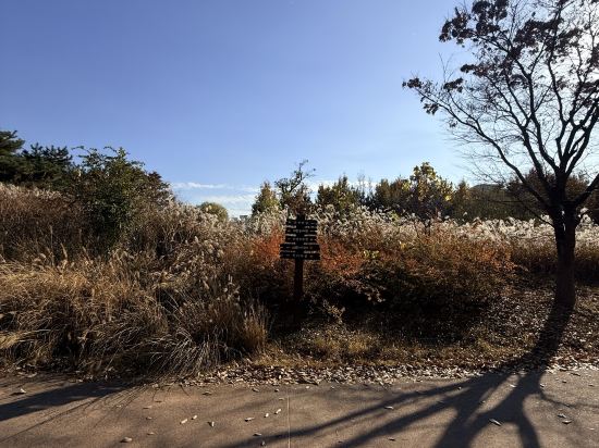 토요코인 대전정부청사앞 쿠폰