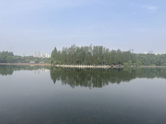 武漢翠柳村客舍優惠