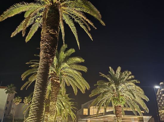 해비치 호텔 & 리조트 제주 쿠폰