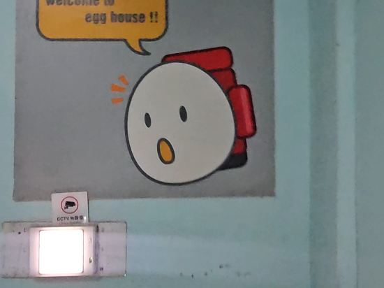 에그하우스 남이섬 게스트하우스 - 호스텔 쿠폰