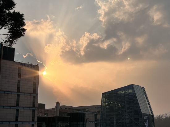 수원밸류하이엔드호텔 쿠폰