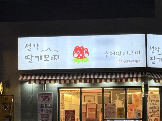 리센 오션파크 속초 쿠폰