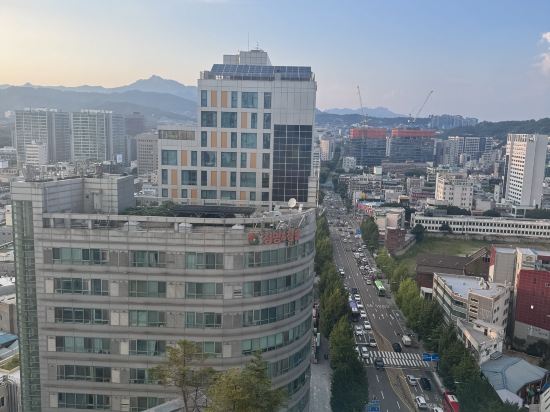 트레블로지 동대문 호텔 쿠폰