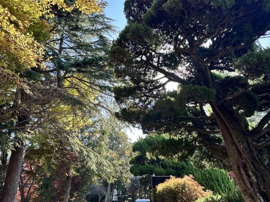 아시아레이크사이드호텔 쿠폰