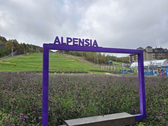 홀리데이 인 리조트 알펜시아 평창, IHG 호텔 쿠폰