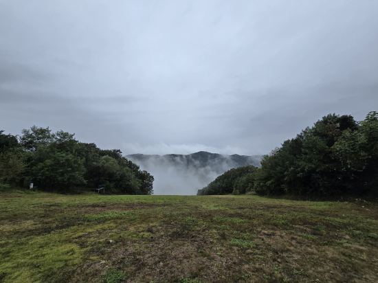 비발디 파크 쿠폰