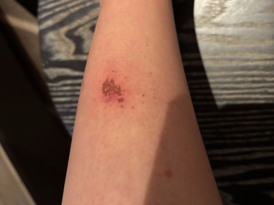 英皇駿景酒店優惠