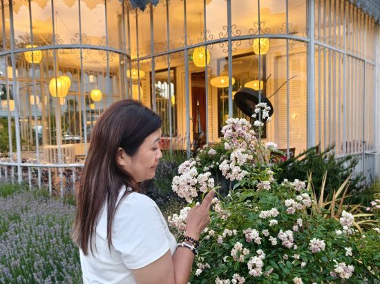 貝爾蒙特城堡之旅克萊芙酒店優惠