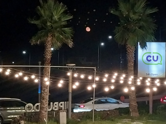 메가리조트 쿠폰