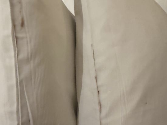 호텔 베뉴지 쿠폰
