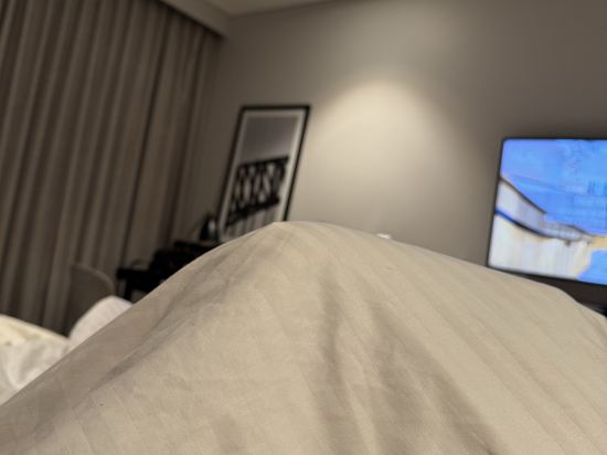 北悉尼韋伯酒店優惠