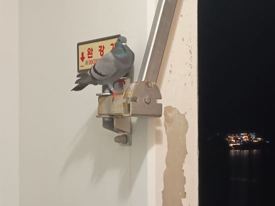 라마다 프라자 바이윈덤 돌산 여수 쿠폰