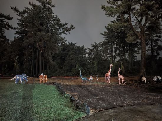 브라운캐빈 쿠폰