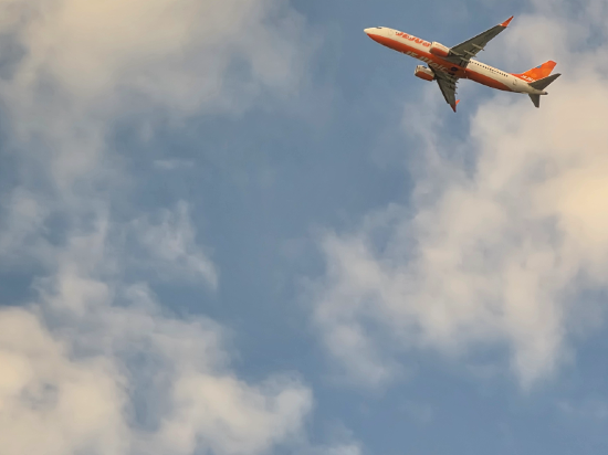 파라다이스시티 쿠폰