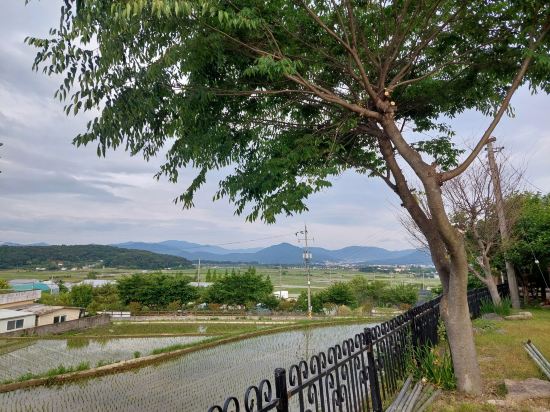 경주 디아망 펜션 쿠폰