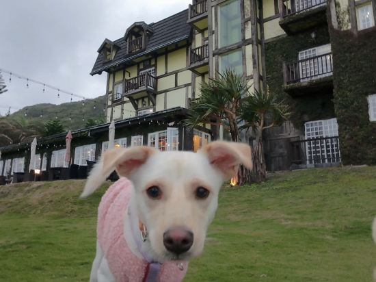 花蓮斯圖亞特海洋莊園優惠