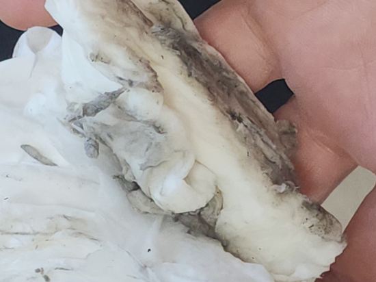 Yeosu Ungcheon First by SoTA 쿠폰