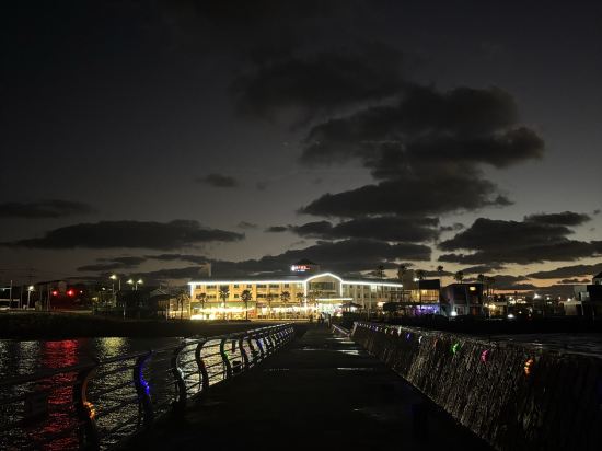 메가리조트 쿠폰