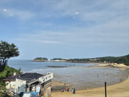 베니키아 스타힐스 호텔 쿠폰