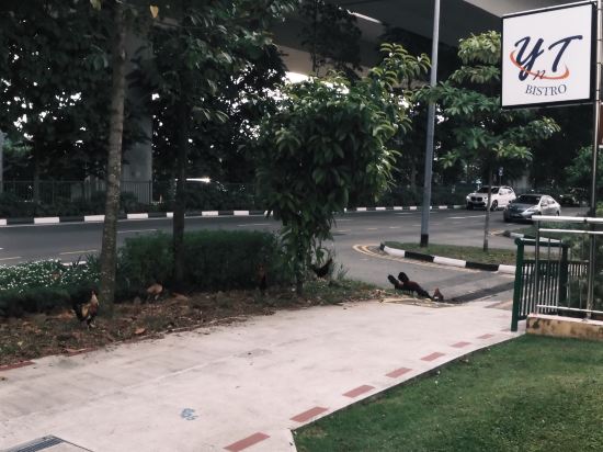 新加坡宜必思快捷花柏山酒店(SG Clean)(Staycation Approved)優惠