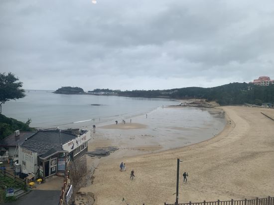 베니키아 스타힐스 호텔 쿠폰