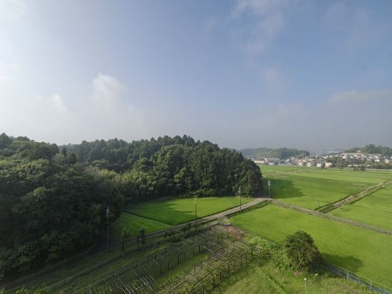 インターナショナルガーデン成田 クーポン