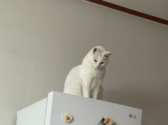 에그하우스 남이섬 게스트하우스 - 호스텔 쿠폰