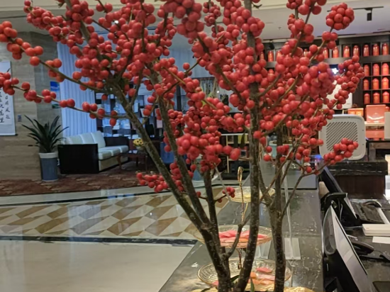 陽山碧桂園鳳凰酒店優惠