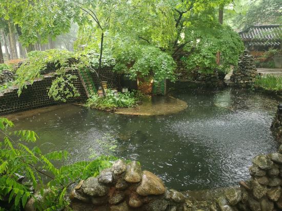 에그하우스 남이섬 게스트하우스 - 호스텔 쿠폰