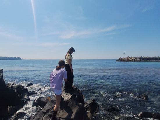 브라운캐빈 쿠폰