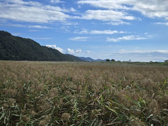 벨라지오모텔 쿠폰