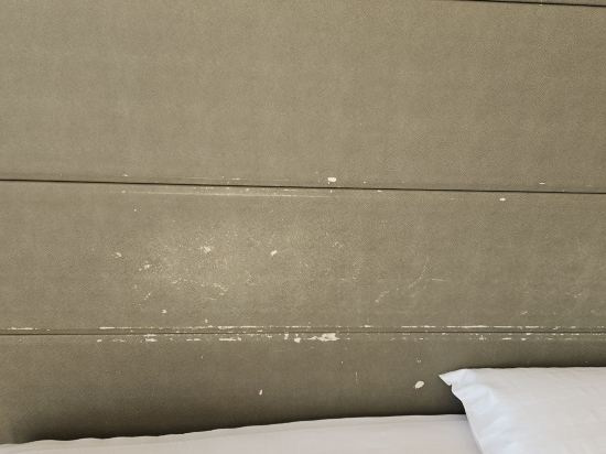 쏠비치 삼척 쿠폰