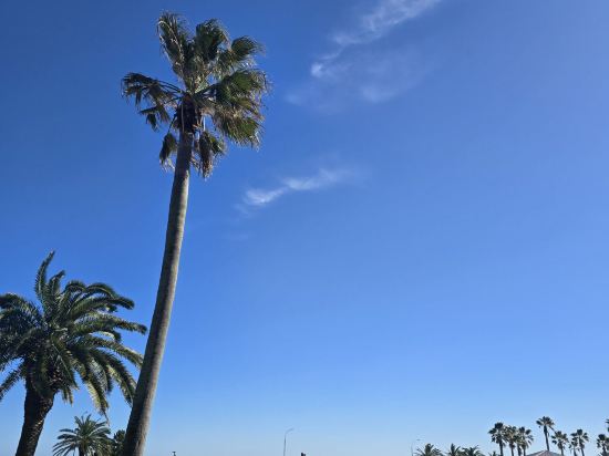 해비치 호텔 & 리조트 제주 쿠폰