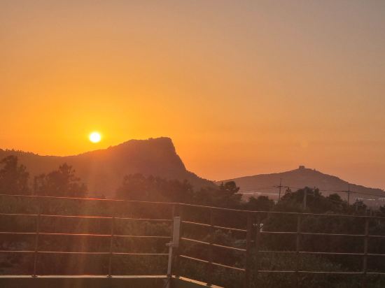 담모라 리조트 쿠폰