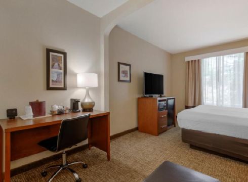 Comfort Suites Columbus State University Area