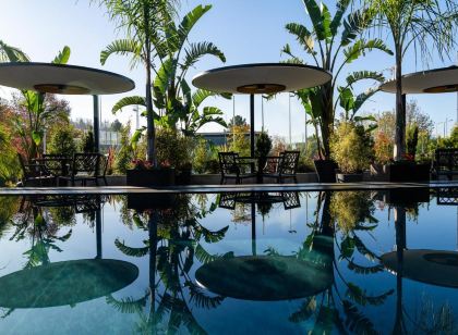 Palatial Suites