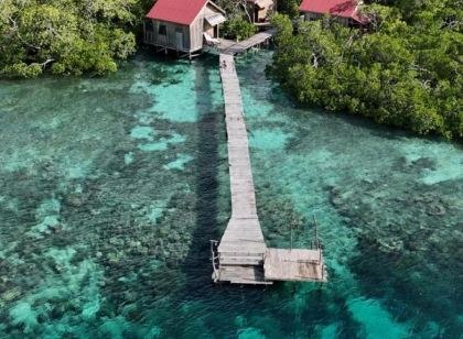 Cozzy Raja Ampat Blue Sea