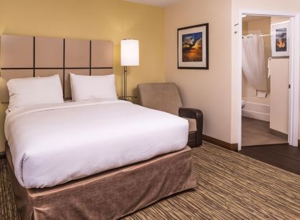 캔들우드 스위트 캔자스 시티