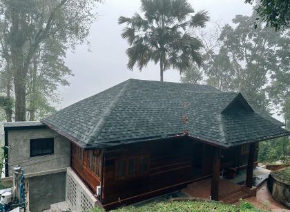 ไฮ แลนด์ ฟอเรสต์ วิว