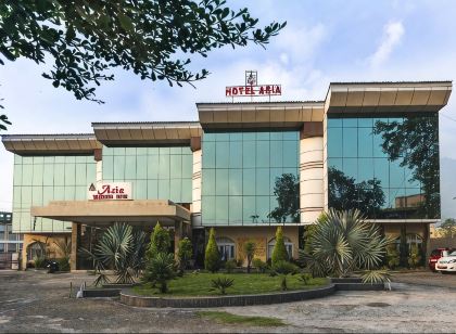 拜希諾德維亞洲飯店