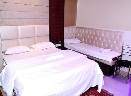 Hotel Shree Krishna Inn