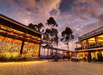 Chandys Drizzle Drops - Munnar Top Station