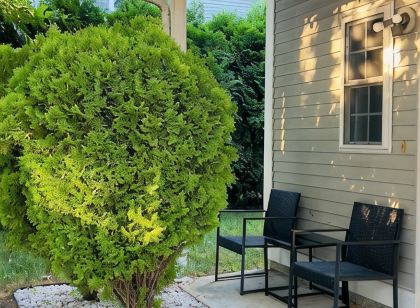 Charming 3 bedroom home Centrally located in Worcester